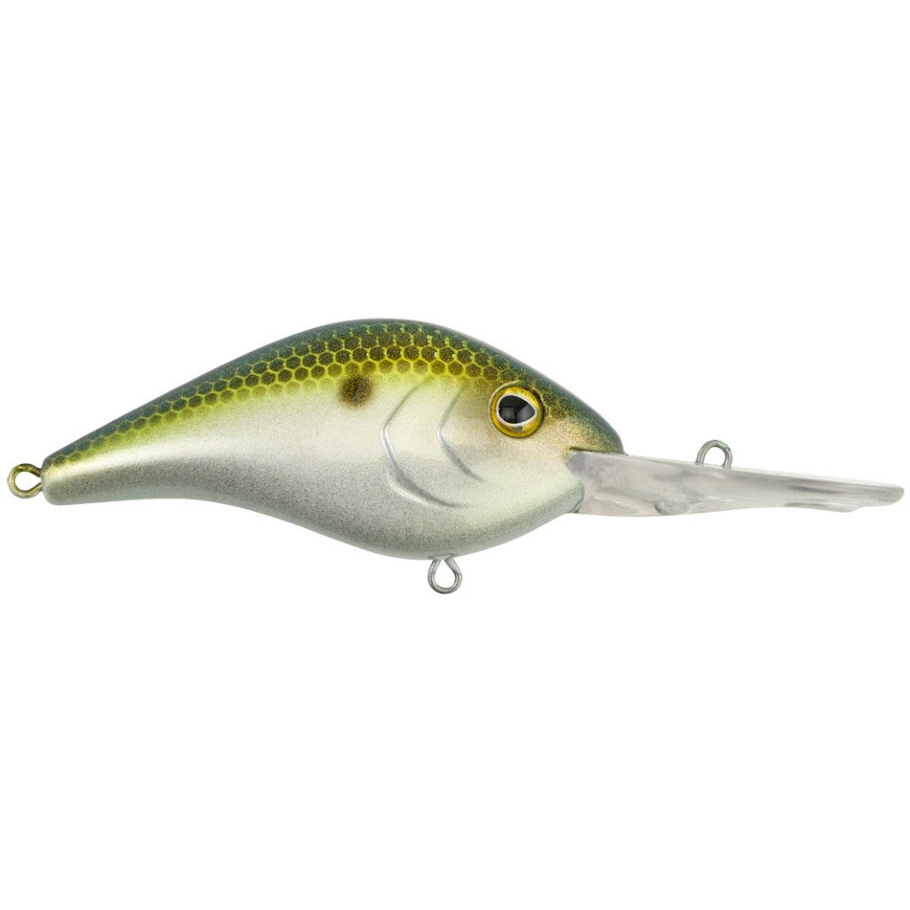 Berkley Dredger 20.5 Slow Rise 7/8oz - Lotto 3 Crankbait Per Bass | Colore Gilly Nip